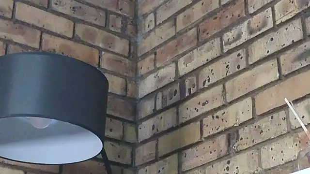 Astoria Moon online show from January 14, 12:21 pm