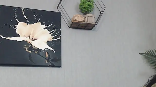 IzabelllNoir online show from January 13, 12:42 pm