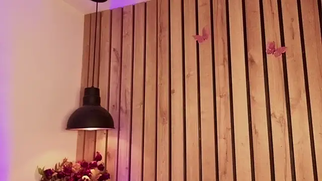 sofiesoft online show from October 24, 2:13 pm