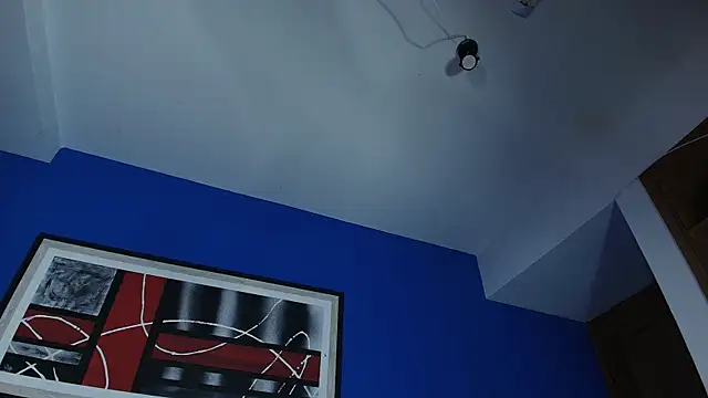 liccy hall online show from November 10, 12:11 pm