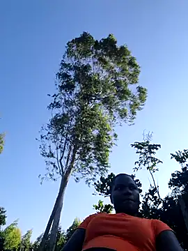 missarpie online show from October 2, 1:49 pm