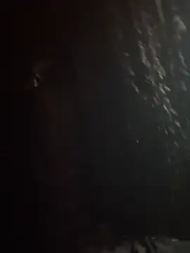 Shuggabutt online show from March 8, 2:26 am