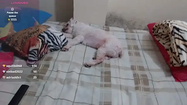 Snapshot of Giorgia_xue53 chatting on October 25, 4:31 am Giorgia xue53 online show from October 25, 4:31 am