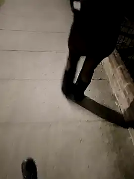 Ariadna2015 online show from October 4, 3:23 am