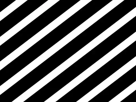 streamy test13 online show from December 19, 1:14 pm