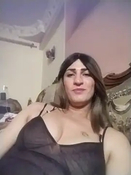 ingishemale1 online show from April 15, 4:46 am