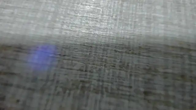 AishaRouhi online show from March 25, 4:39 am