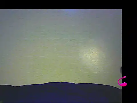 lilylovexx online show from April 3, 2:15 pm