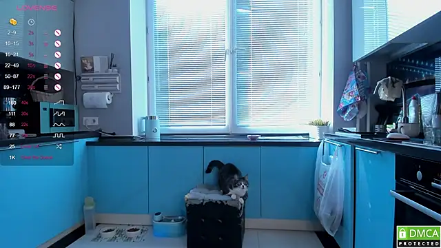 wwildfox online show from March 16, 5:44 am