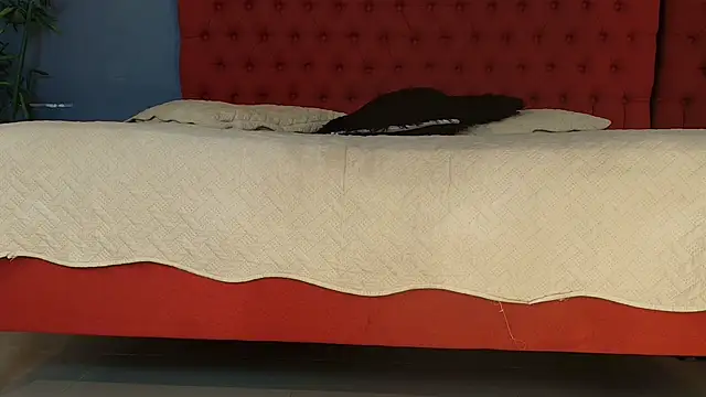 flavia cruz online show from March 11, 12:42 pm