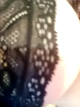 -Sahar online show from April 14, 11:49 pm