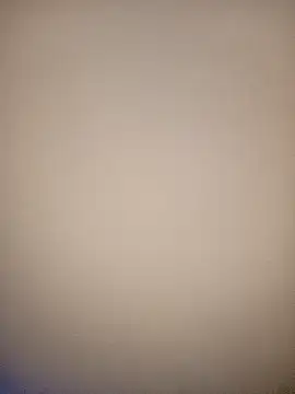 bustybillies online show from March 7, 2:02 pm