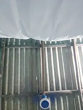 Snapshot of hotbaby_5 chatting on October 8, 5:23 am hotbaby 5 online show from October 8, 5:23 am