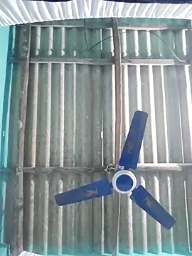 hotbaby 5 online show from November 7, 8:42 am