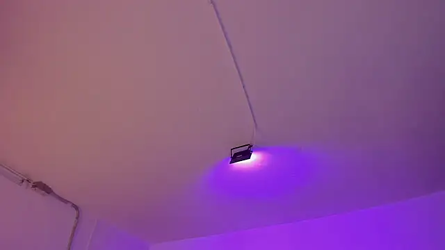 Amy Kiitty  online show from January 7, 12:41 pm