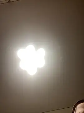 Janet Welder online show from November 27, 12:24 am