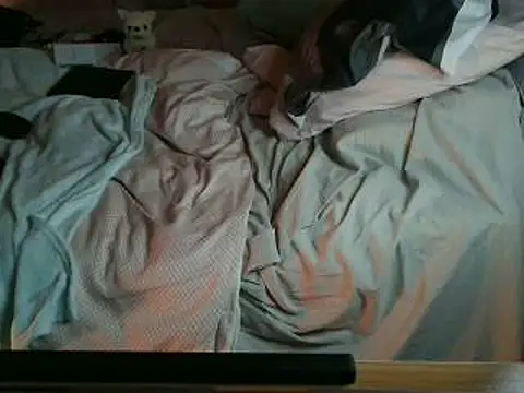 VeneRed online show from April 3, 7:12 pm