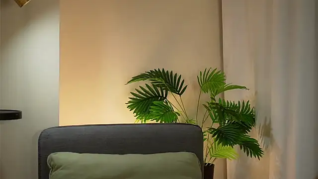 akumadadrive online show from December 23, 2:15 am