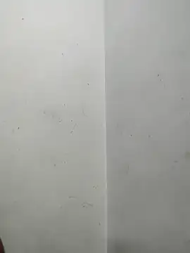 Sania-Love online show from December 23, 12:47 am