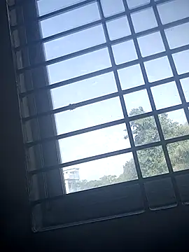 HenaAra online show from December 17, 5:11 am