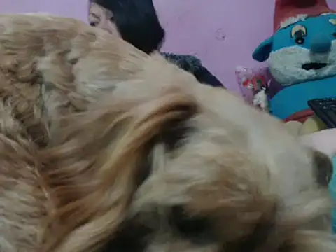 Cheliafun online show from October 25, 2:14 pm