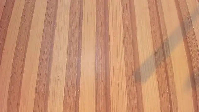 Taylor  cooper online show from February 9, 6:32 pm