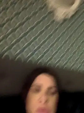 medusapanthera online show from February 11, 4:25 am