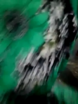 avantika telugu online show from April 29, 8:28 am