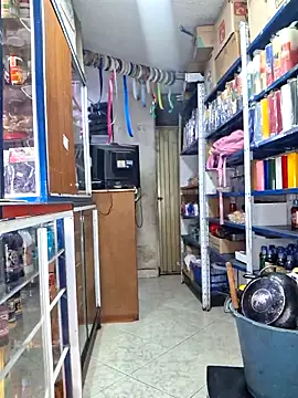 nidia2026 online show from November 4, 6:57 pm