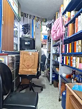 nidia2026 online show from April 12, 3:59 pm