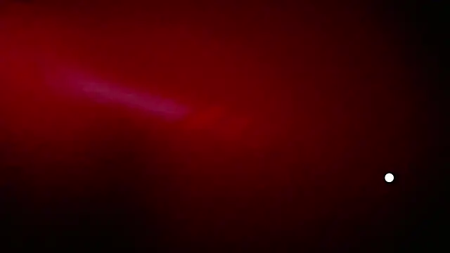 Theylor Rouse online show from December 21, 8:51 am