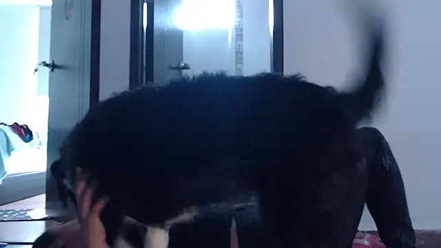 samy love35 online show from October 20, 9:07 pm