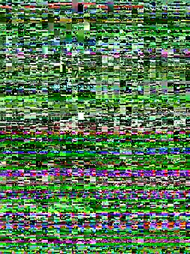 I am babydoll online show from January 6, 12:14 am