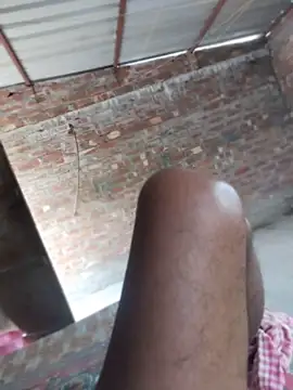 birds0641 online show from March 25, 7:44 am