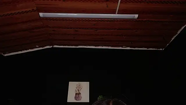 fyreandfox  online show from November 18, 6:53 pm