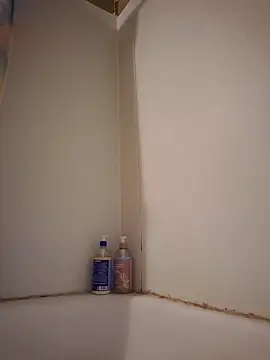 Seductivefoxyxh online show from December 1, 2:15 am