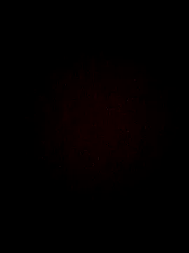 yakot7 online show from October 17, 11:30 pm