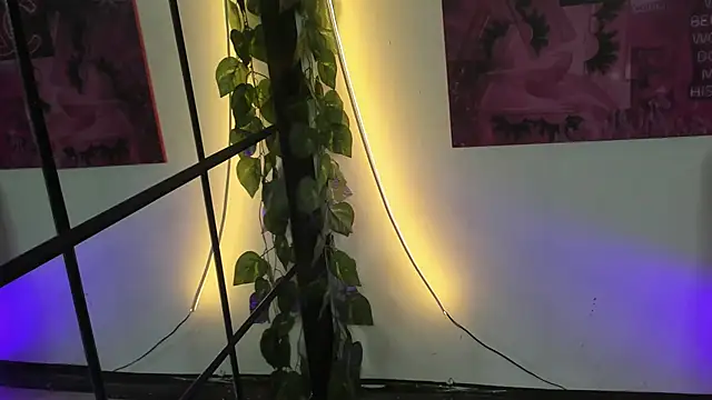 floraginette online show from October 22, 6:13 pm