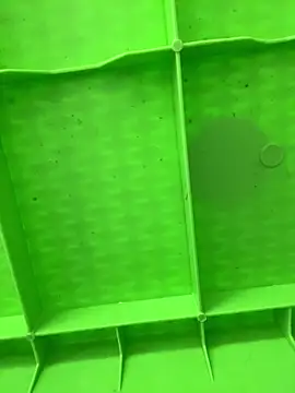 sara calderon online show from November 21, 2:30 pm