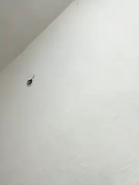 Snapshot of Nia_Desire chatting on October 9, 7:23 am Nia Desire online show from October 9, 7:23 am