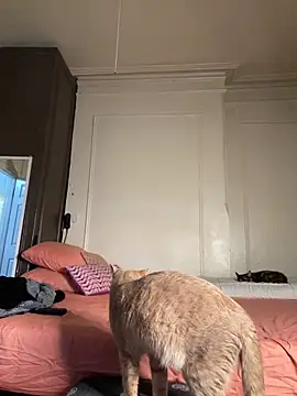 AlyCakes212 online show from November 5, 3:06 pm