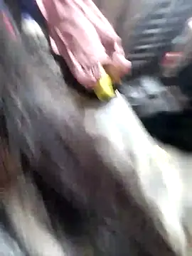 Tiyir597 online show from February 18, 2:27 pm