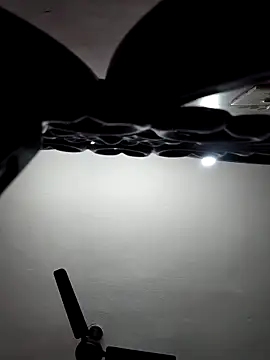 Tamil-Meenu12 online show from December 5, 10:49 am