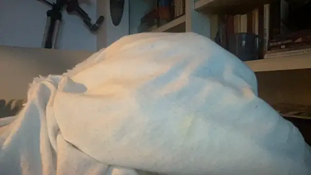 dddasani online show from September 15, 7:16 am