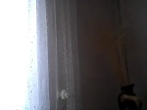 Littlecatme online show from July 7, 7:23 am