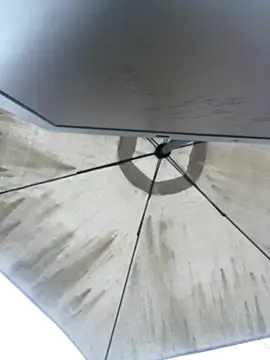 Sallem Pink online show from April 4, 11:20 am