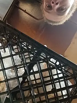 sarahkat86 online show from October 1, 9:42 pm