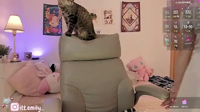 emily uwu0 online show from January 9, 1:43 am