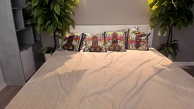 SofiSoft online show from November 17, 8:31 pm