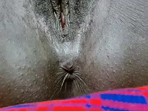 Alexxa ebony online show from March 15, 3:41 am